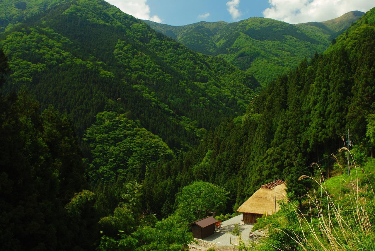 Tougenkyo Iya No Yamazato Villa Wakabayashi Buitenkant foto